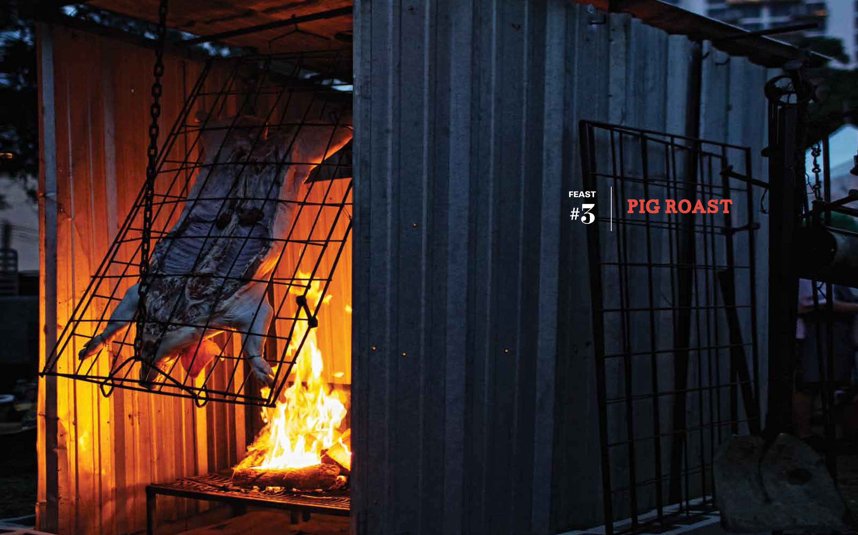 Jody Horton Photography - Whole pig roasting above a fire on a grate.