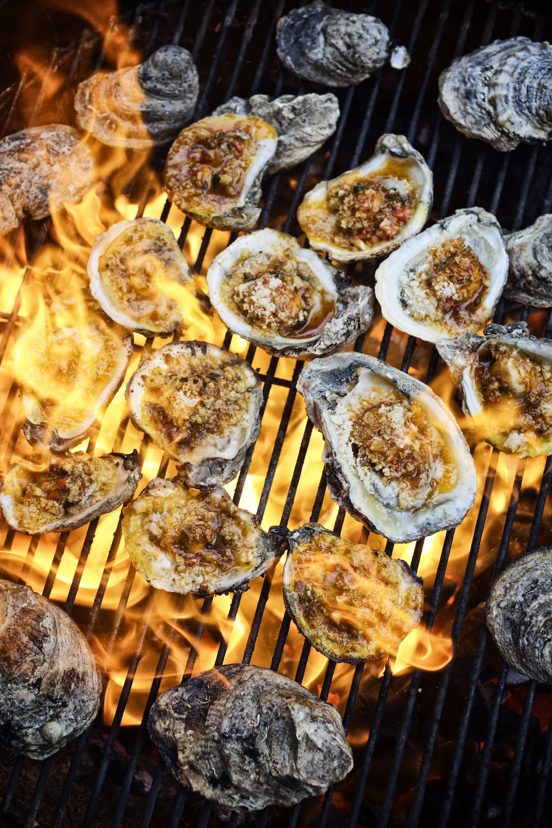 Jody Horton Photography - Multiple oysters cooking on a wood fired grill.
