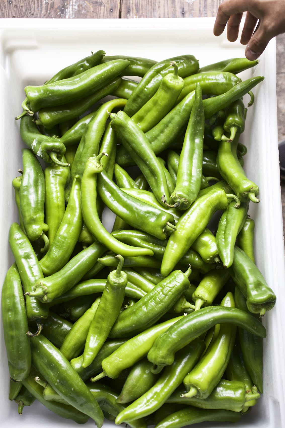 Jody Horton Photography - Fresh, green chili peppers piled together while a hand reaches for them. 