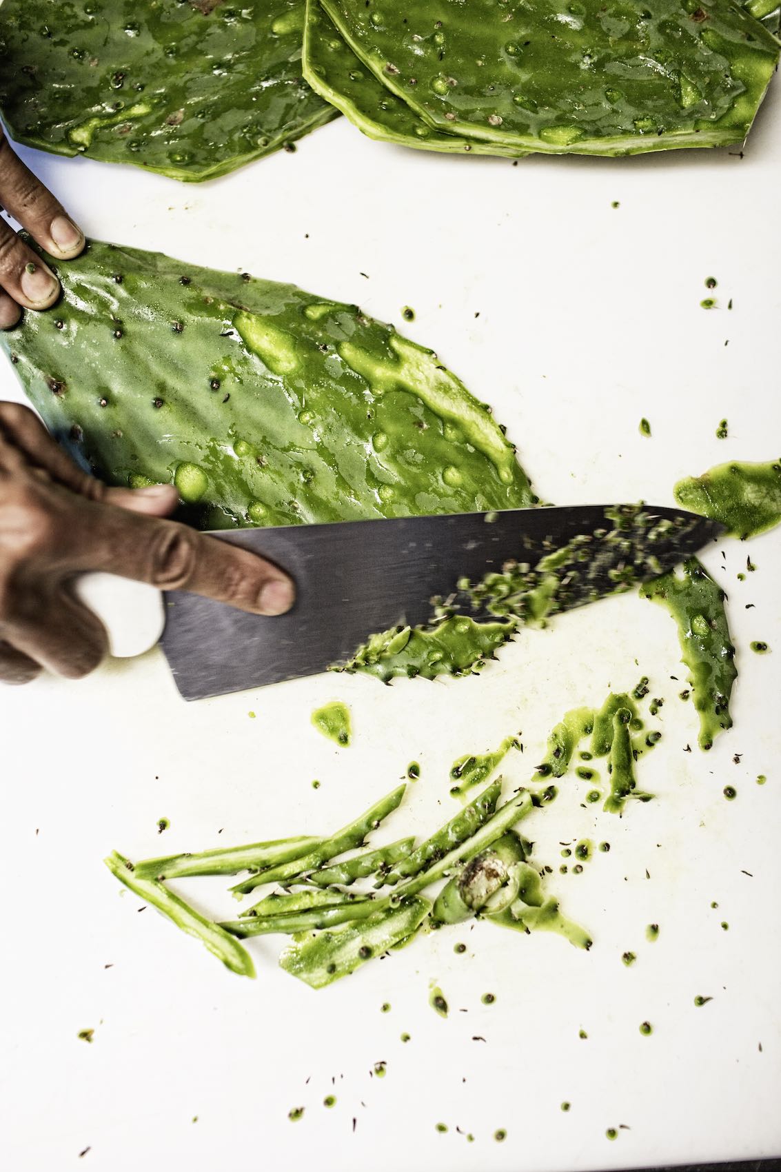 Jody Horton Photography - Chef knife cutting cacti on white cutting board. 