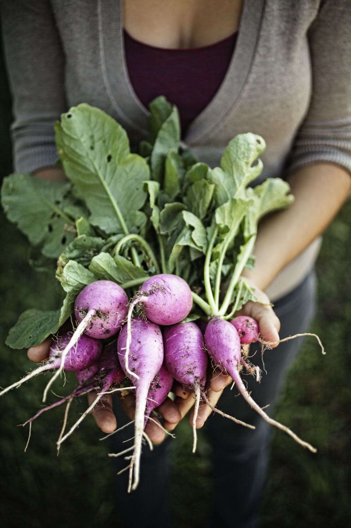 Jody Horton Photography - Woman presenting freshly picked radishes. 