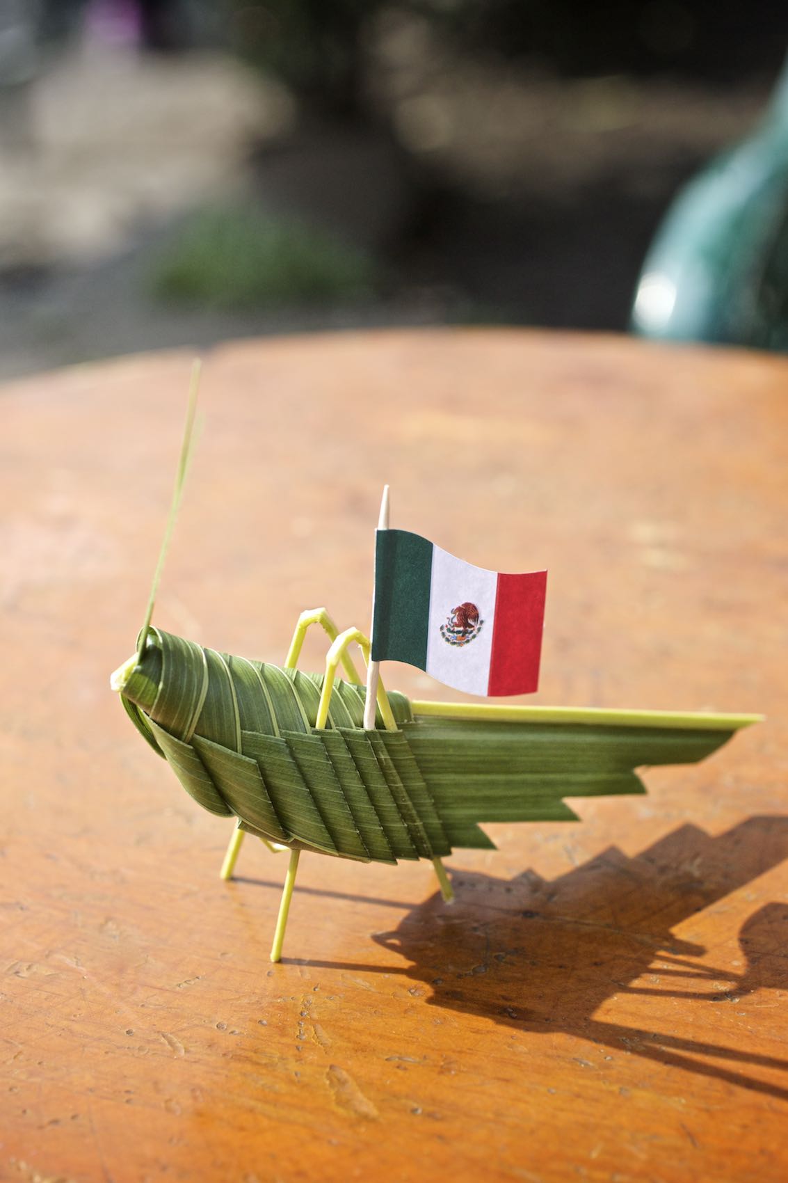 Jody Horton Photography - Grasshopper figurine made from leaves, bearing the Mexican Flag. 