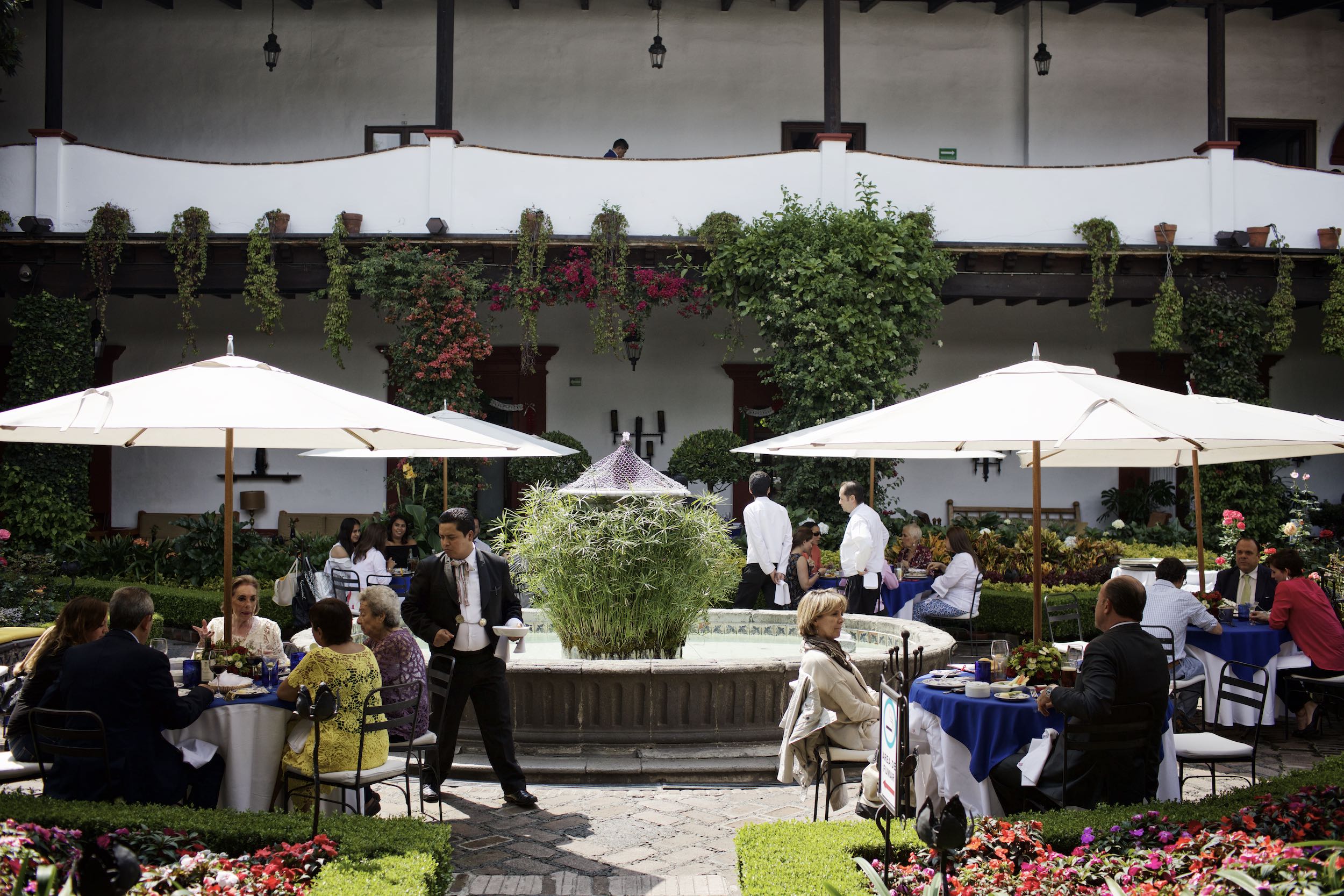 Jody Horton Photography - Guests enjoying the garden of a restaurant in Mexico City. 