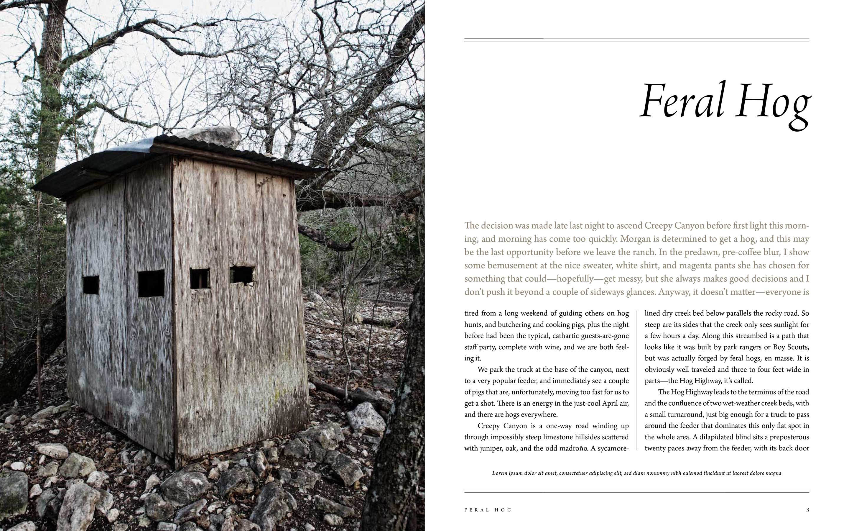 Jody Horton Photography - Feral Hog chapter opening page for Afield.