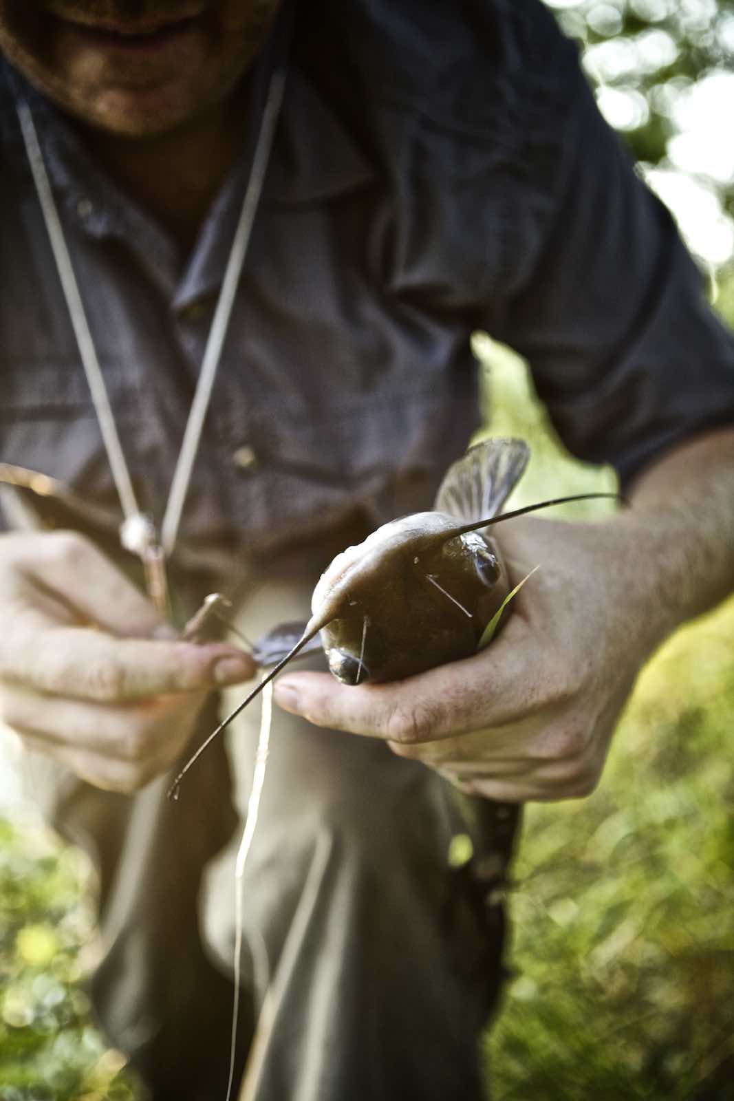 Jody Horton Photography - Fisherman holding a catfish. 