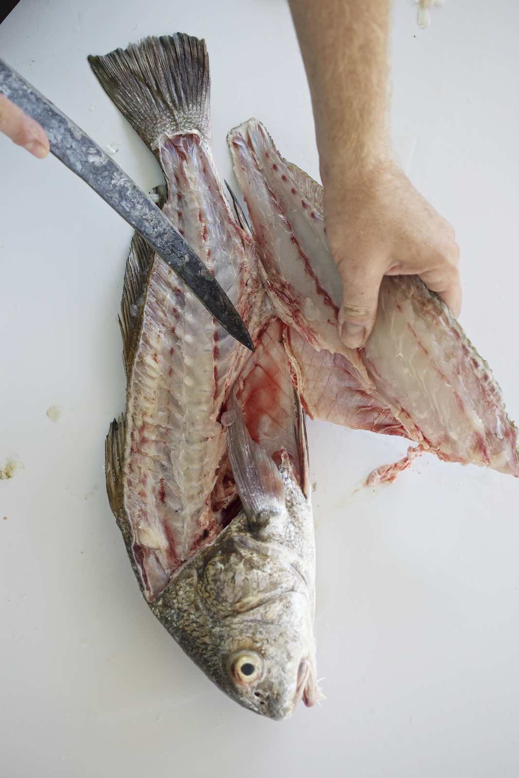 Jody Horton Photography - Chef Jesse filleting a fish. 