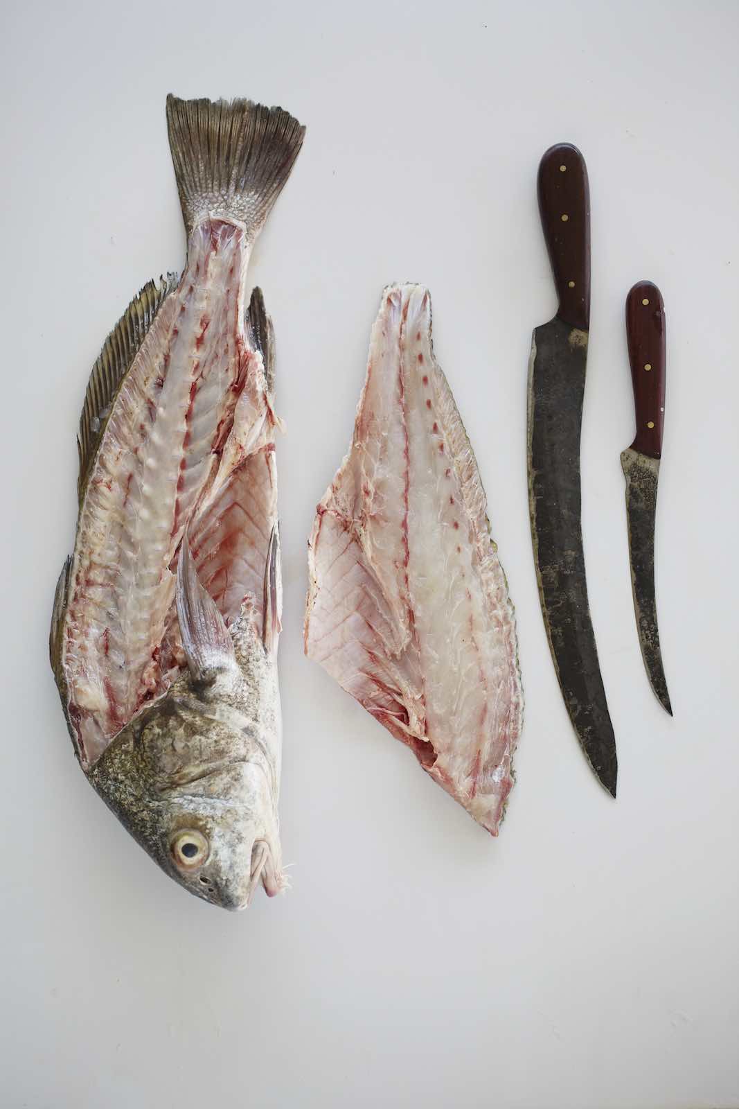 Jody Horton Photography - Filleted fish and rustic knives. 