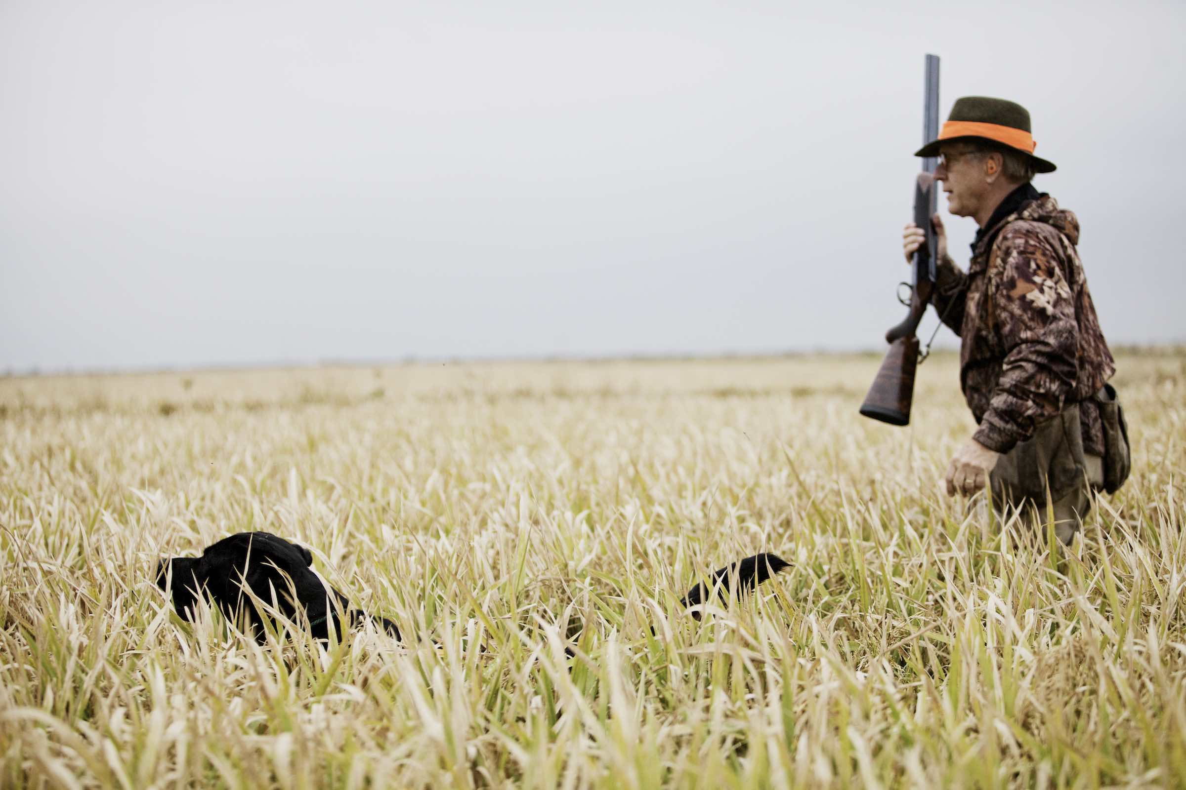 Jody Horton Photography - Hunter and dog walking through tall grass. 