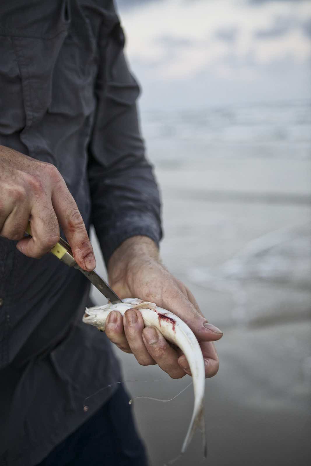 Jody Horton Photography - Fisherman cutting open the belly of a small fish.