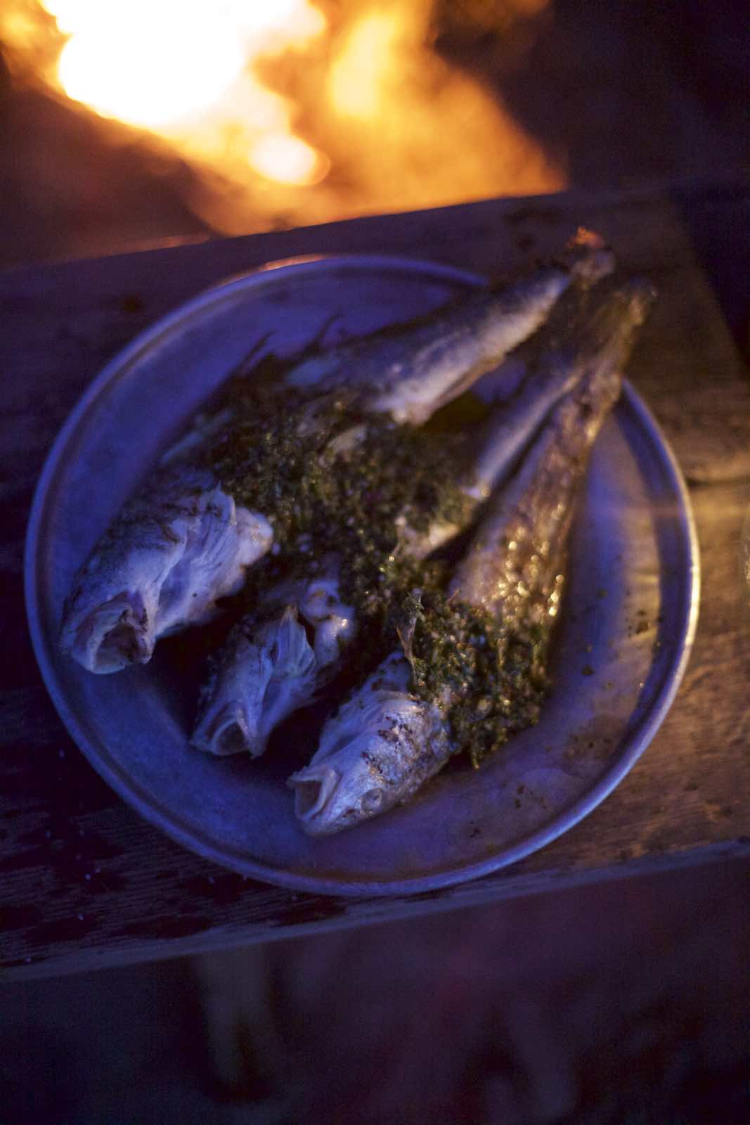Jody Horton Photography - Grilled fish and salsa verde on a silver plate. 