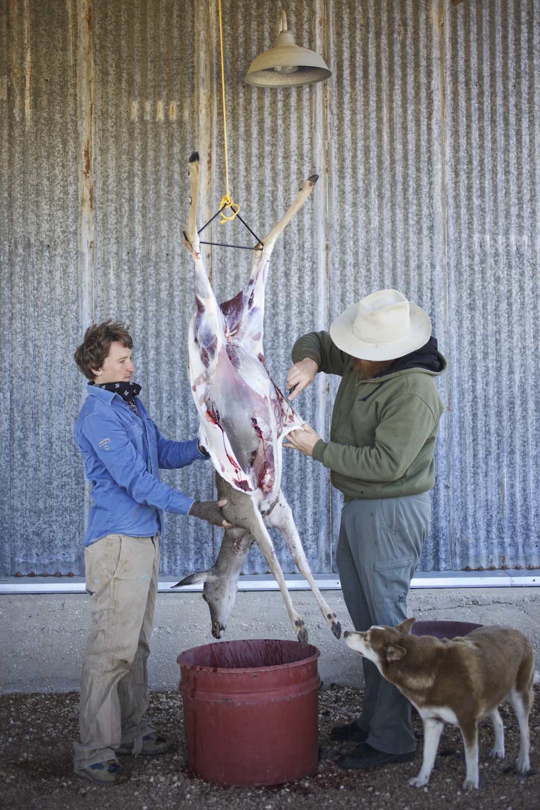Jody Horton Photography - Chef Jesse and young man skinning a deer. 