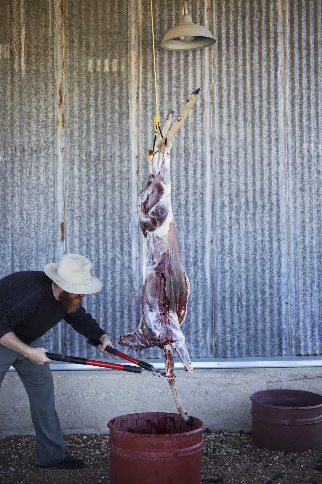Jody Horton Photography - Chef Jesse cutting the front legs off a deer.