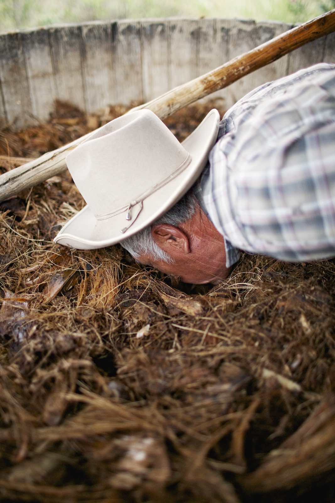 Jody Horton Photography - Farmer smelling agave mash during mezcal production.