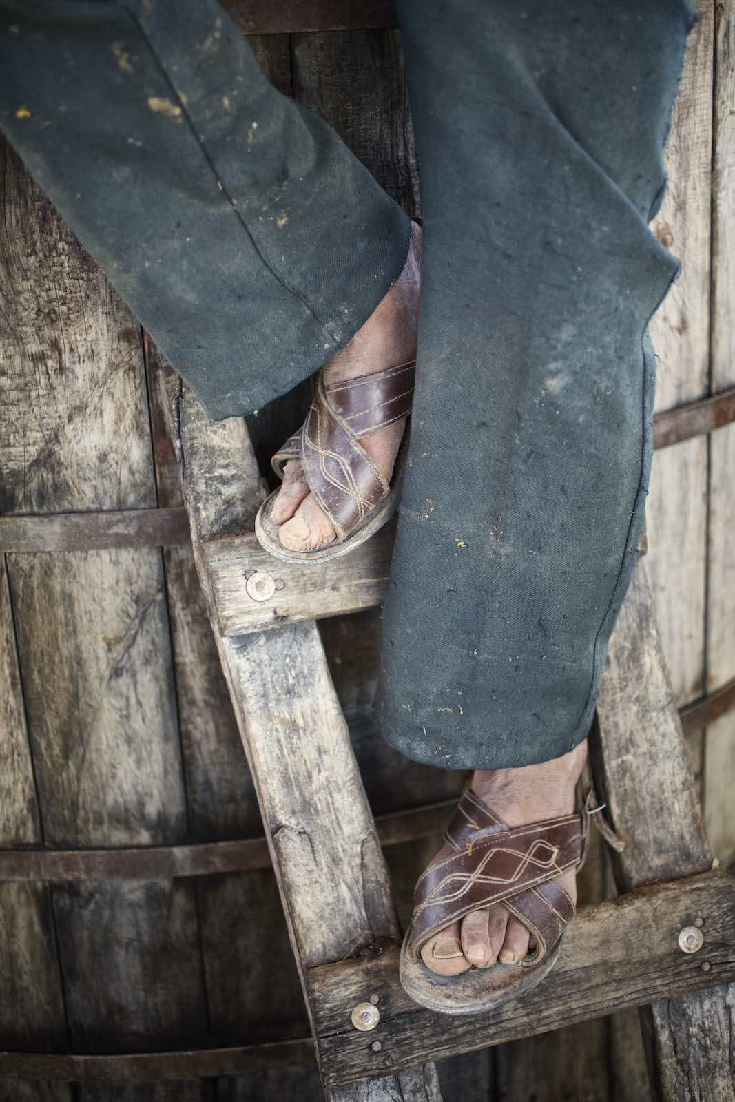 Jody Horton Photography - Farmer walking down ladder in sandals.
