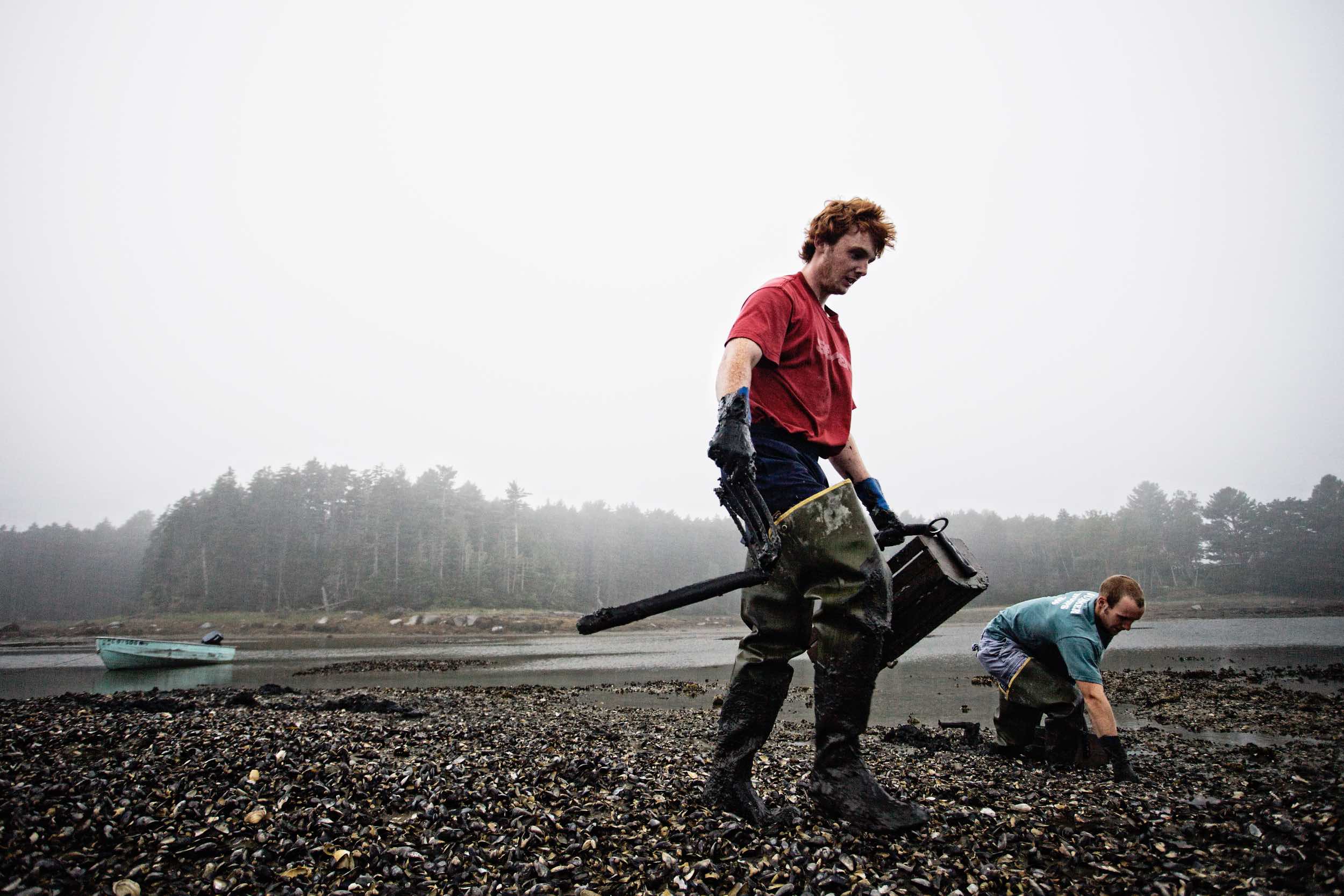 Jody Horton - Men hunt for clams in muddy gear. 