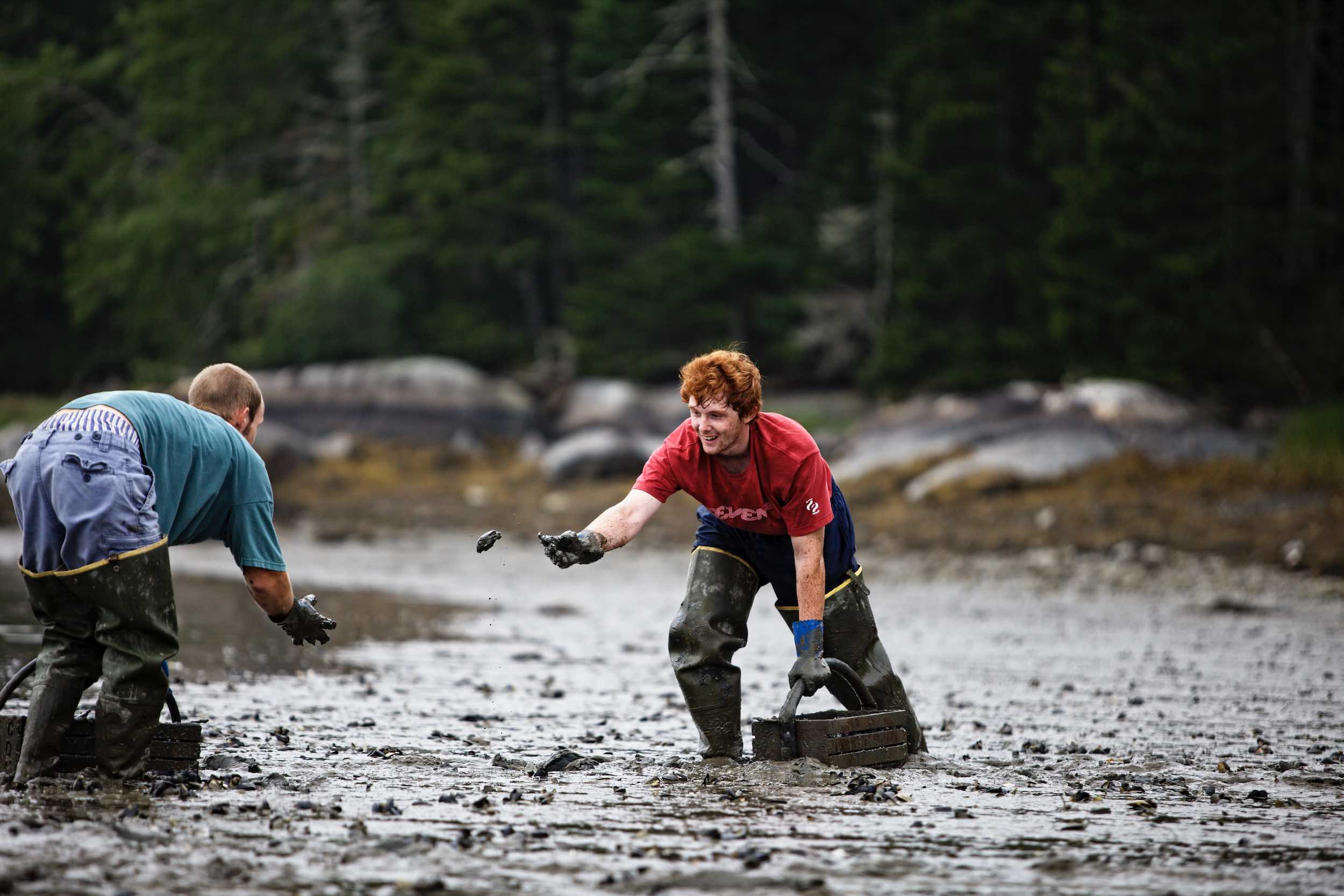 Jody Horton Photography - Clam hunting in Maine. 