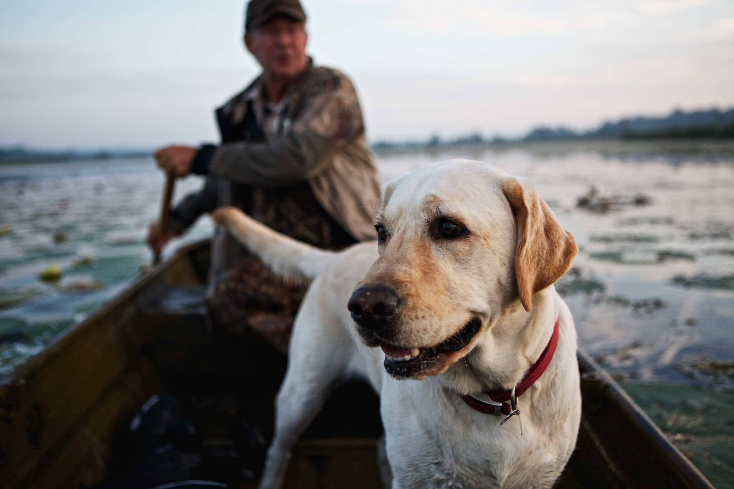 Jody Horton Photography - White lab in canoe on the water, shot for Jack Daniels Single Barrel.