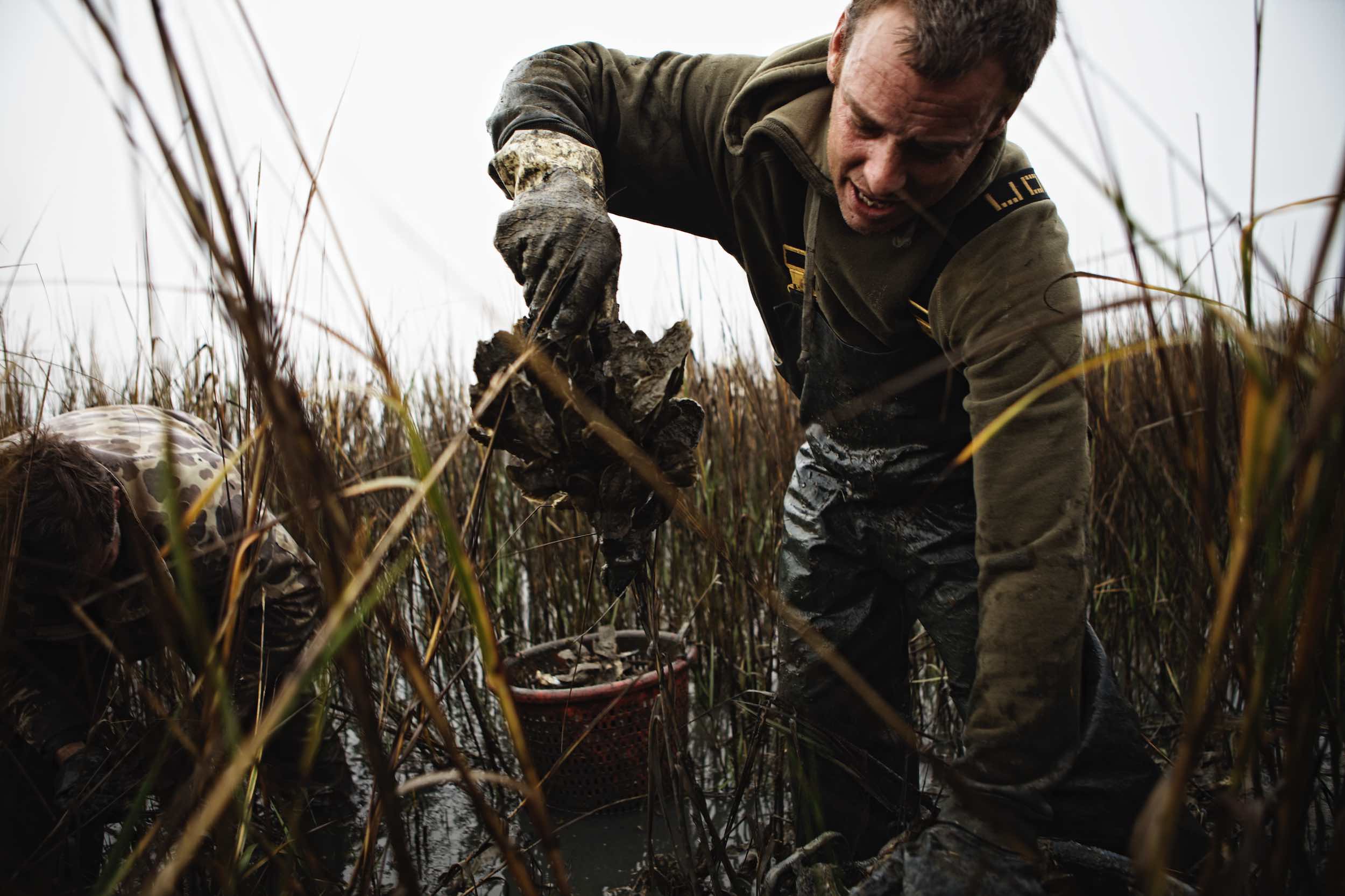 Jody Horton Photography - Fishermen harvesting oysters in tall grass.