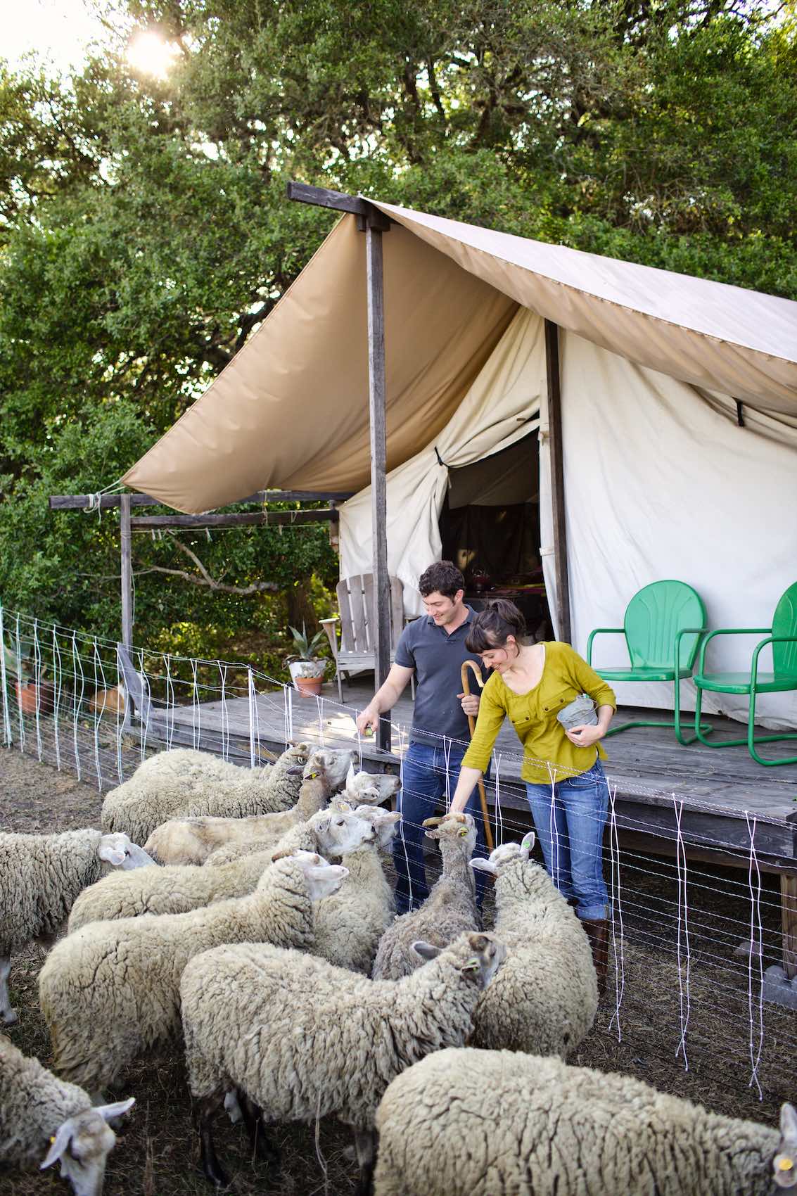 Jody Horton Photography - Farmers feeding sheep.