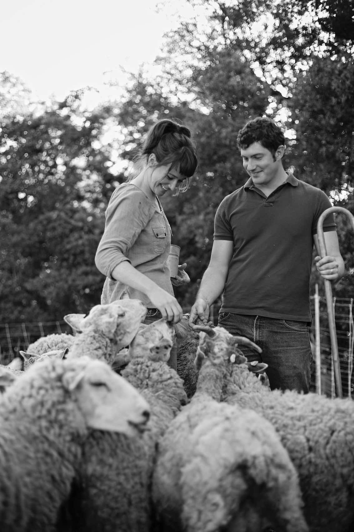 Jody Horton Photography - Farmers feeding sheep, shot in B&W.