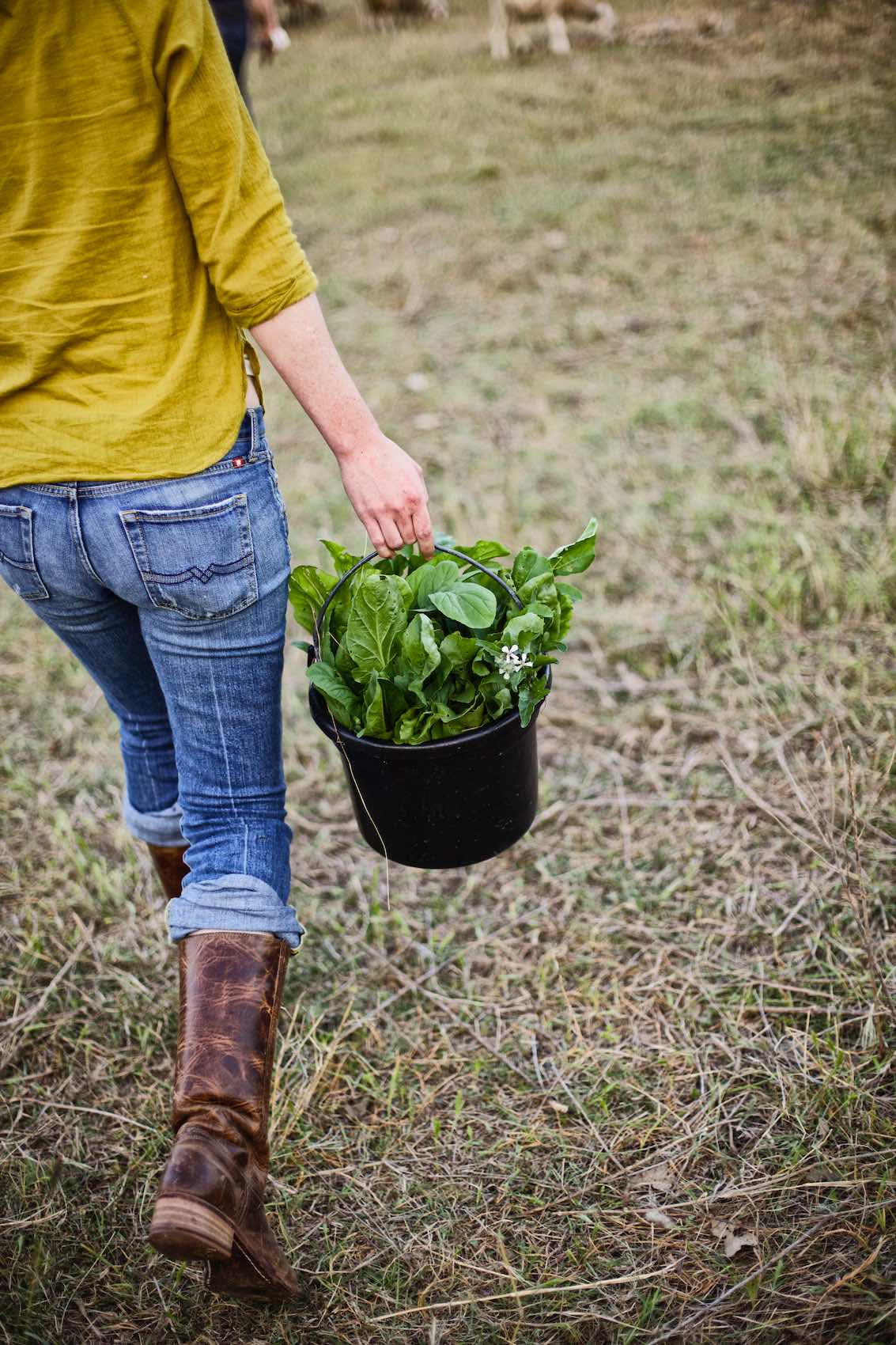 Jody Horton Photography - Farmer carrying fresh greens in a black bucket. 