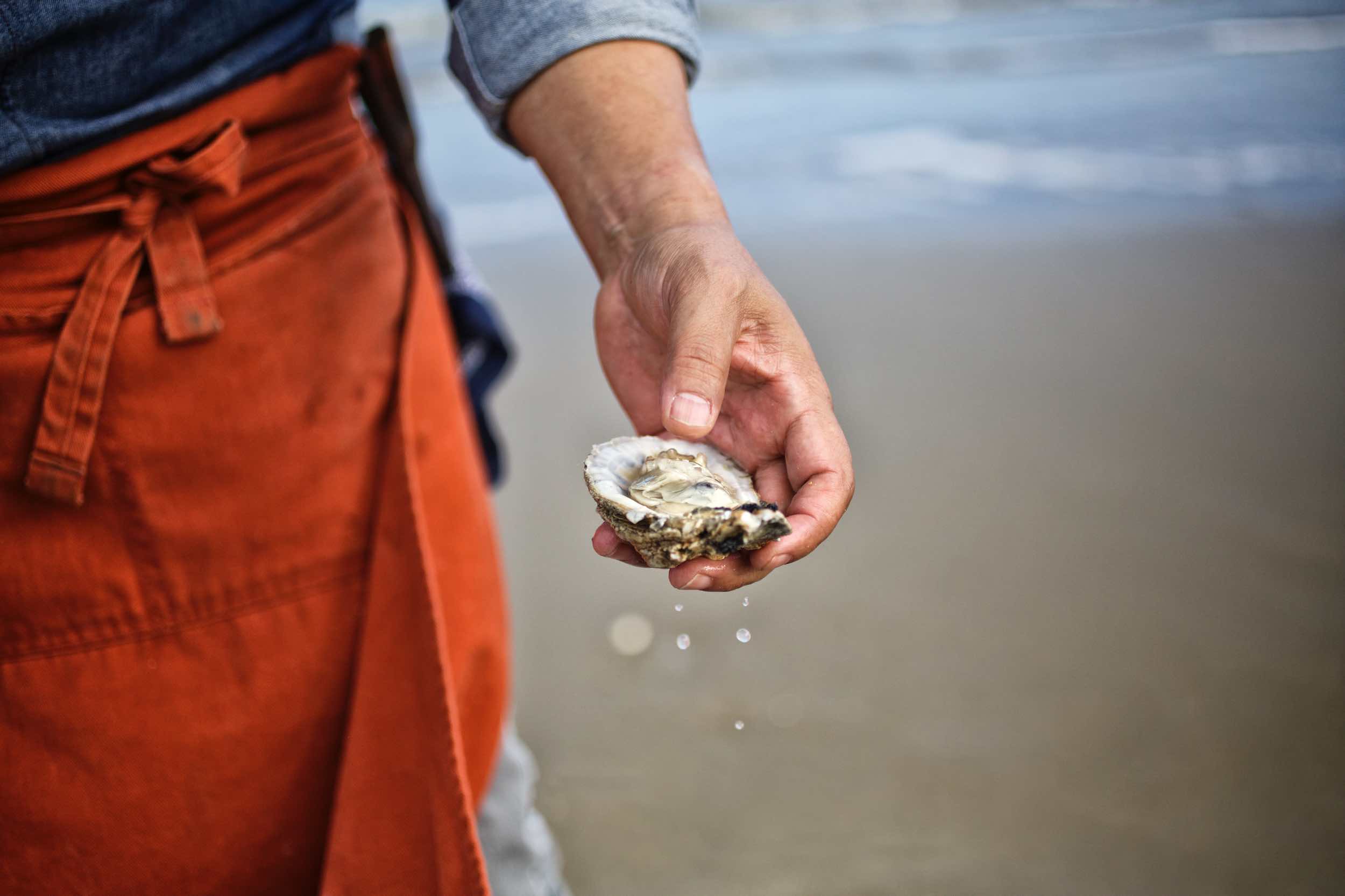 Jody Horton Photography - Hand holding fresh oyster on the beach.