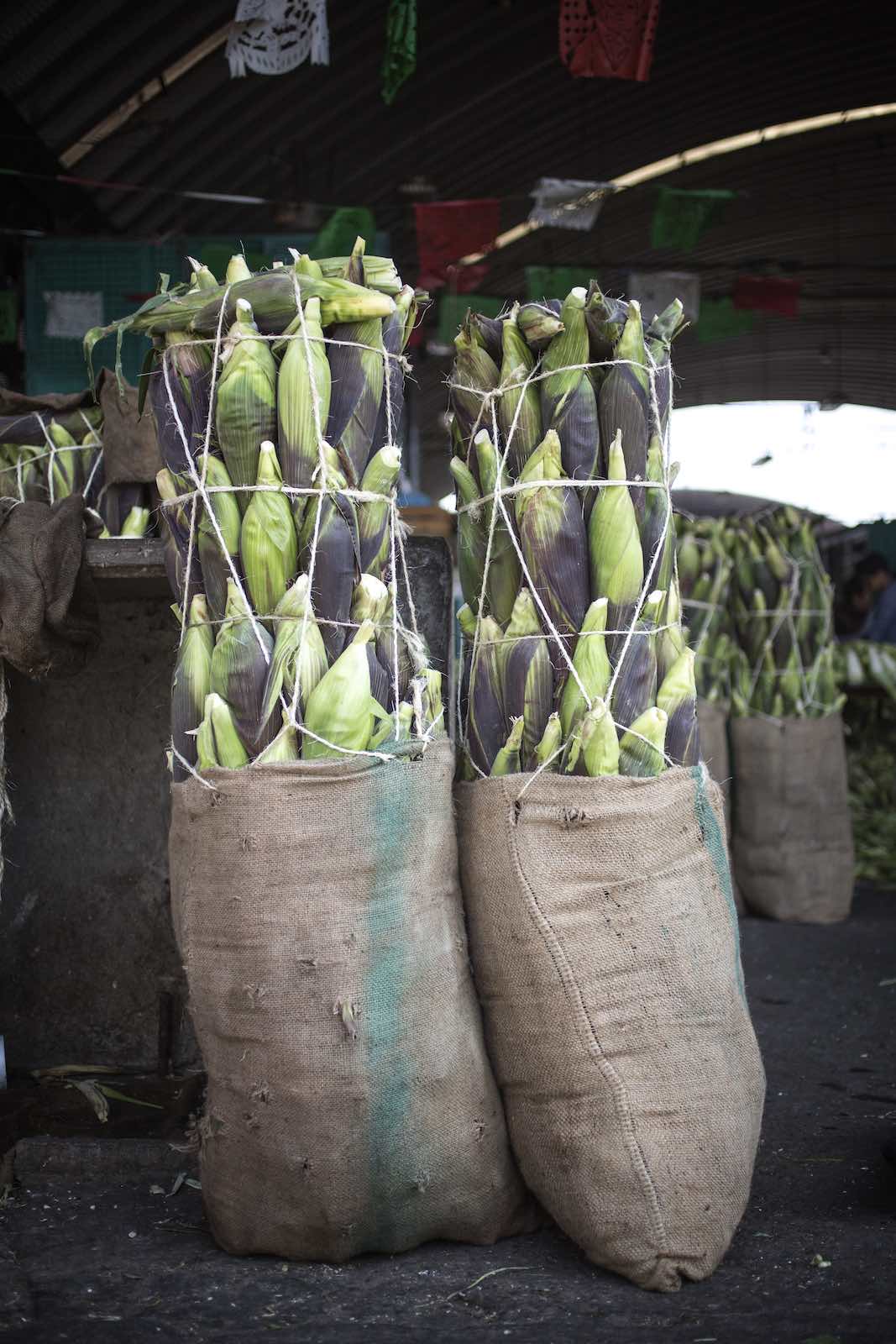 Jody Horton Photography - Ears of corn tied in burlap sacks and placed on the floor of the market. 