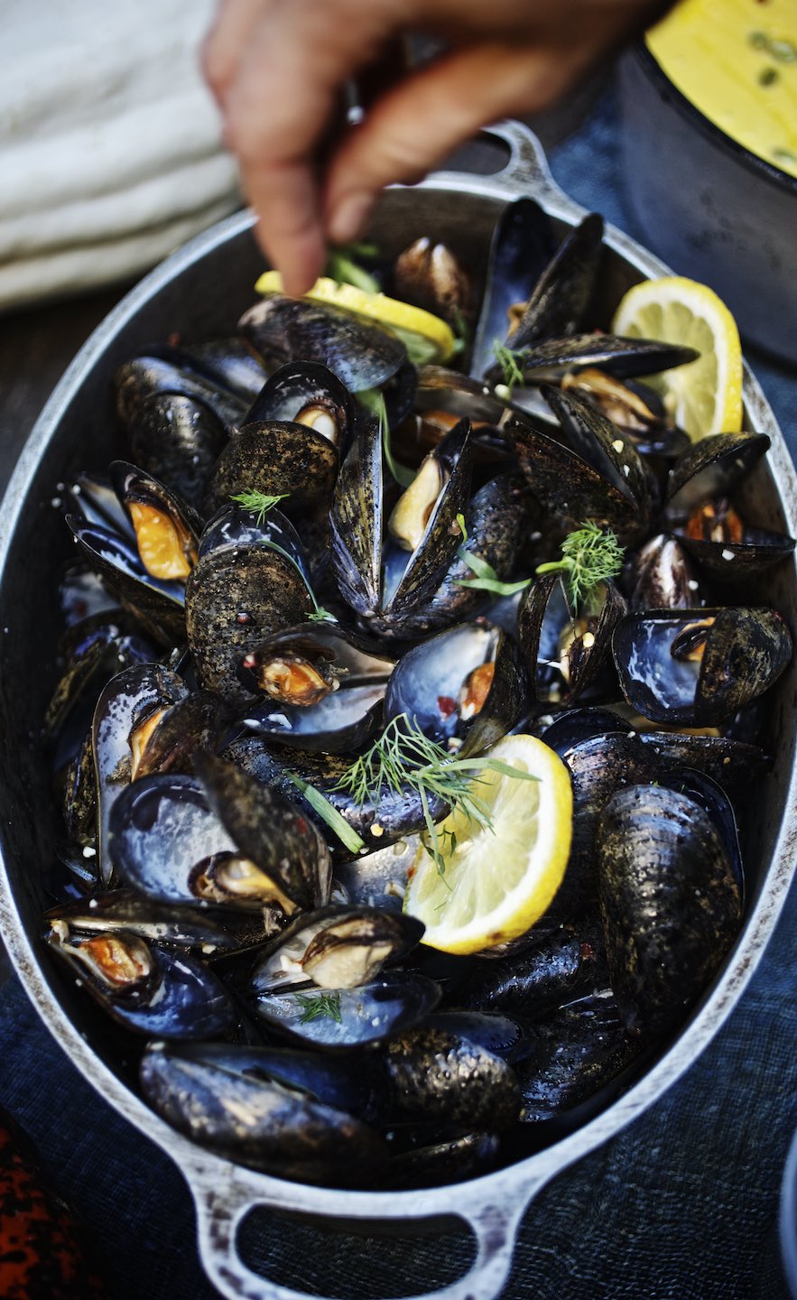 Mussels with herb and lemon in a steel cooking pot. 