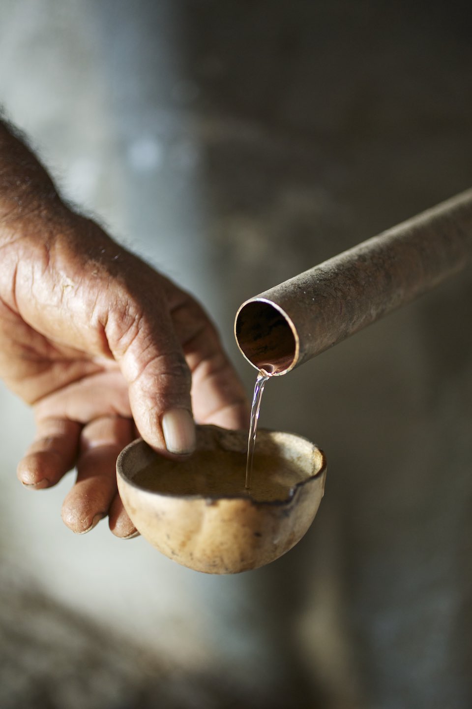 A jícara, traditionally used for drinking mezcal. 