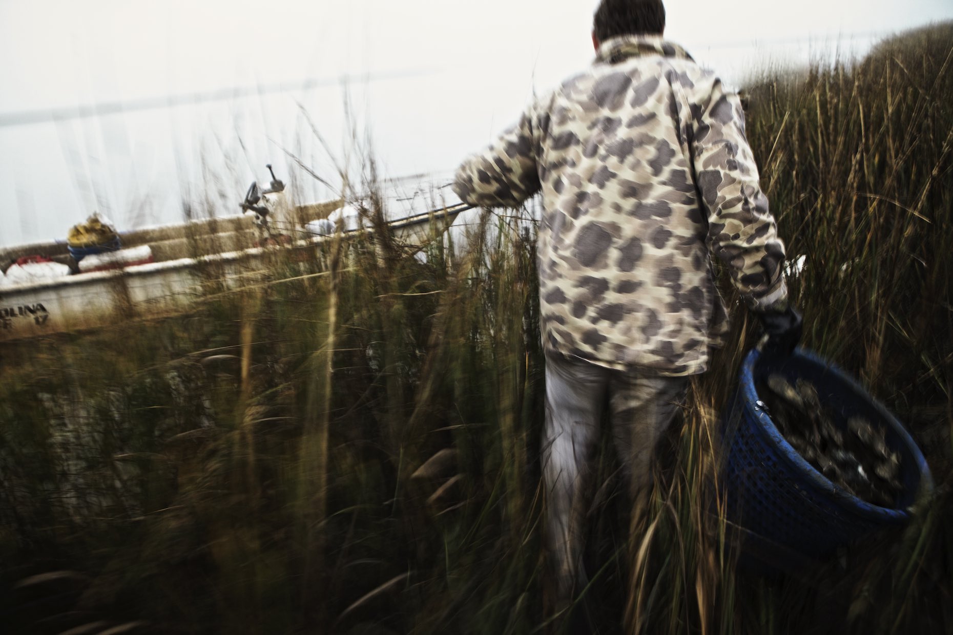 Fisherman carrying mussels through tall grass. 