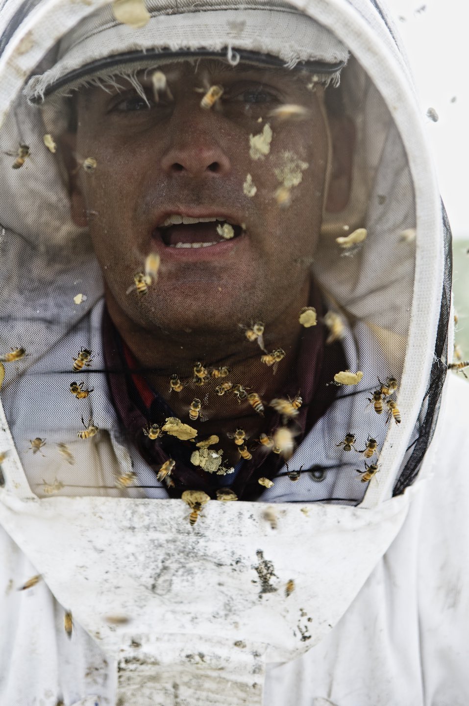 Honeybees swarming around beekeeper