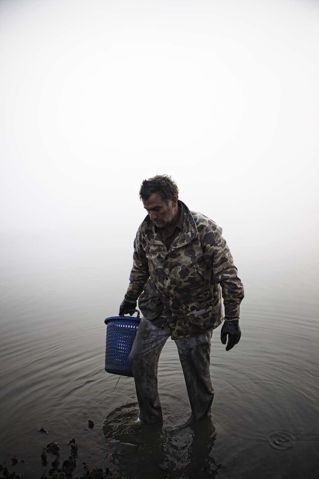 Jody Horton Photography - Fisherman carrying basket of oysters through shallow water. 