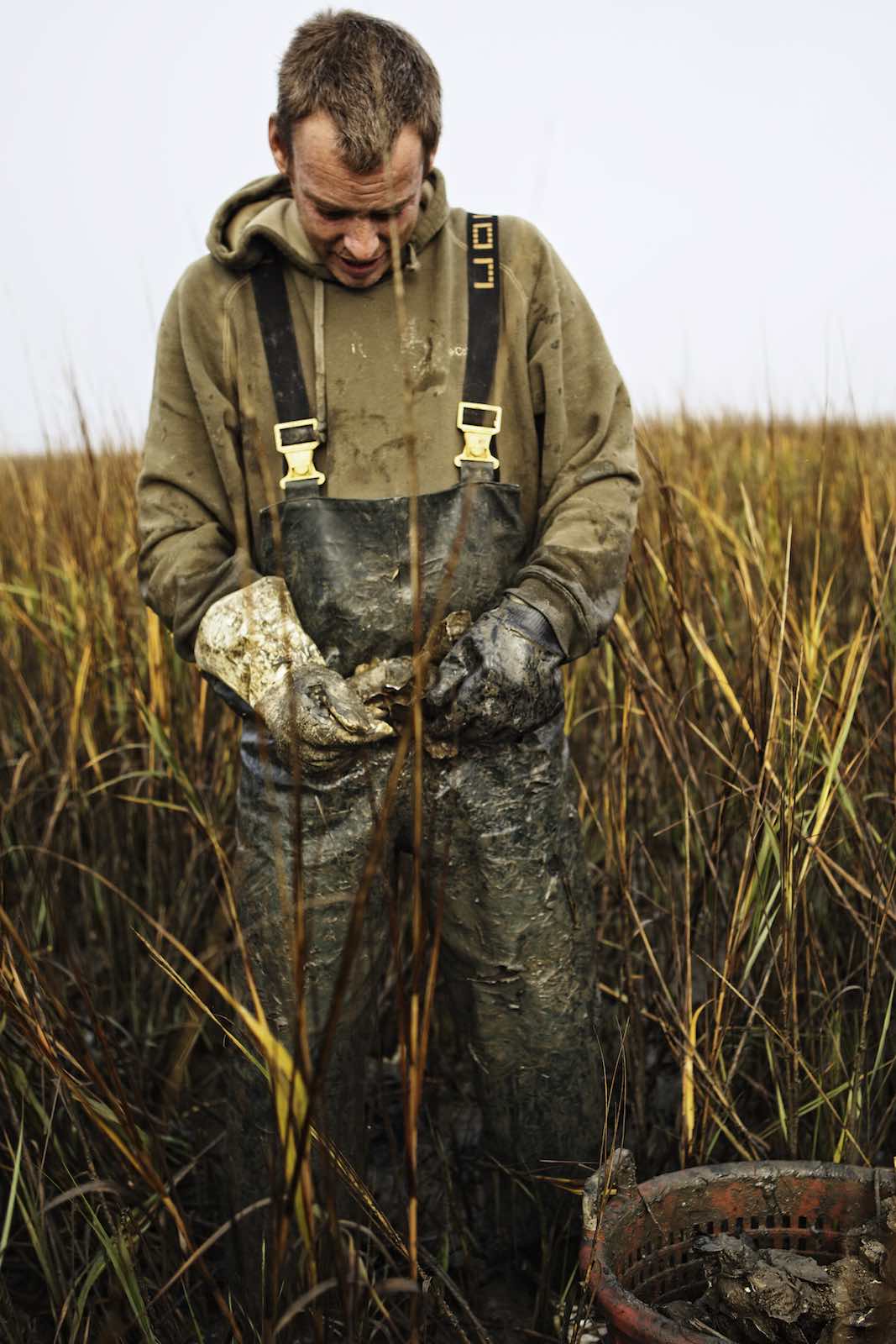Jody Horton Photography - Fisherman standing in marsh grass collecting oysters. 