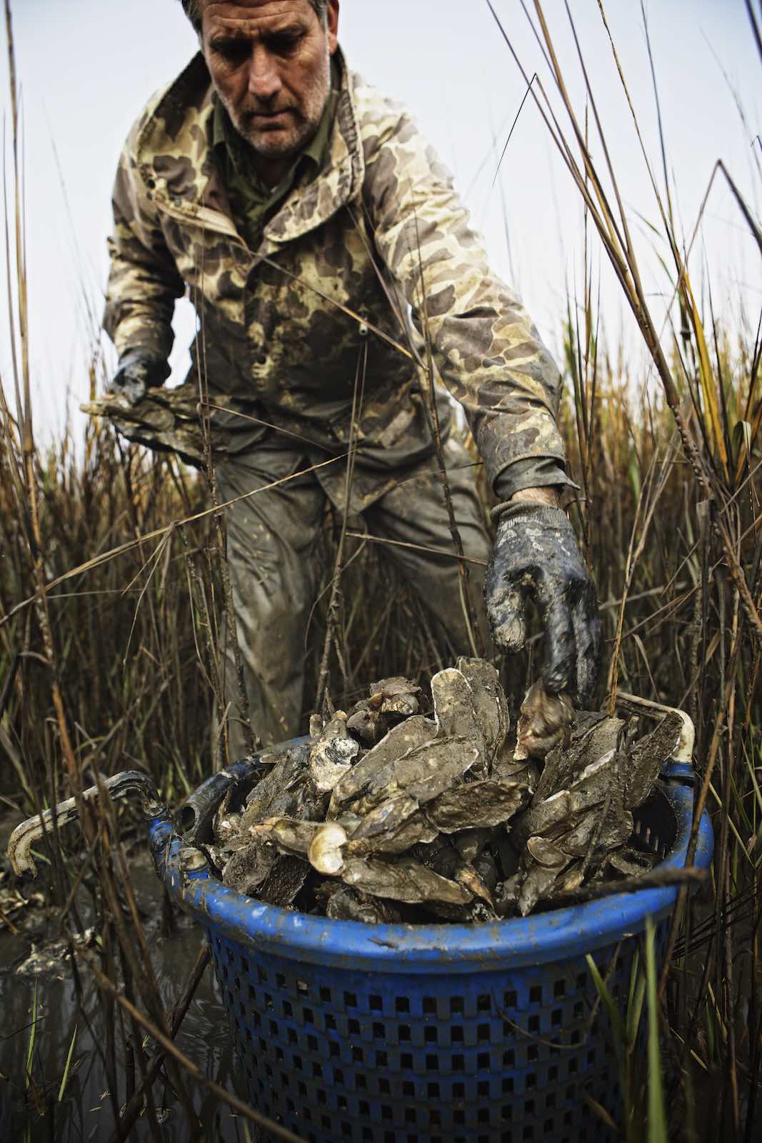Jody Horton Photography - Fisherman stacking fresh caught oysters in a bucket. 