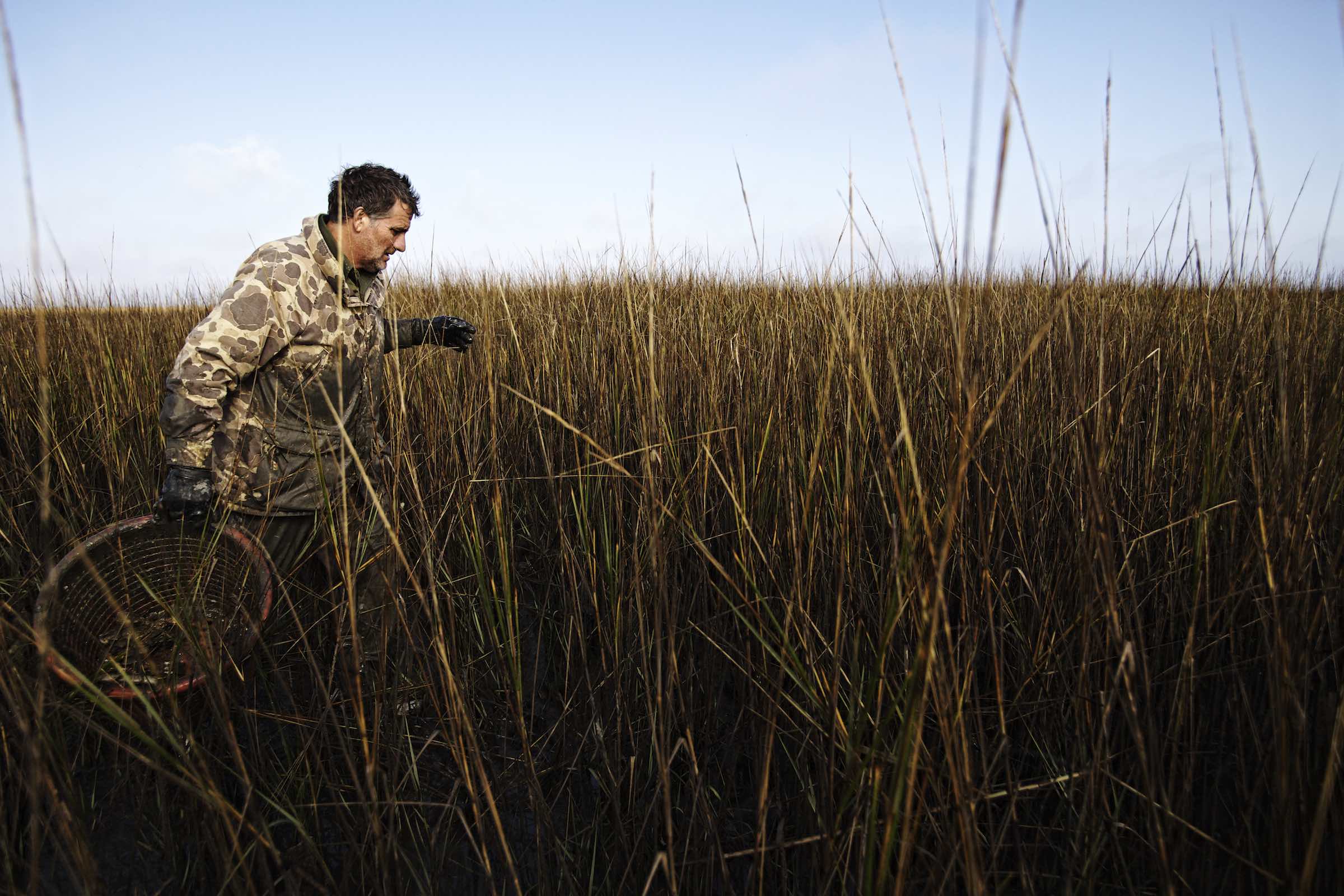 Jody Horton Photography - Fisherman walking through tall grasses during the oyster harvest. 