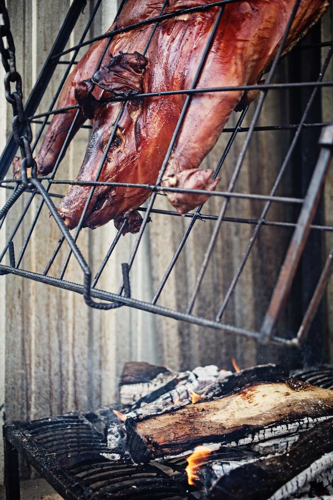 Jody Horton Photography - Whole hog smoking above fire. 