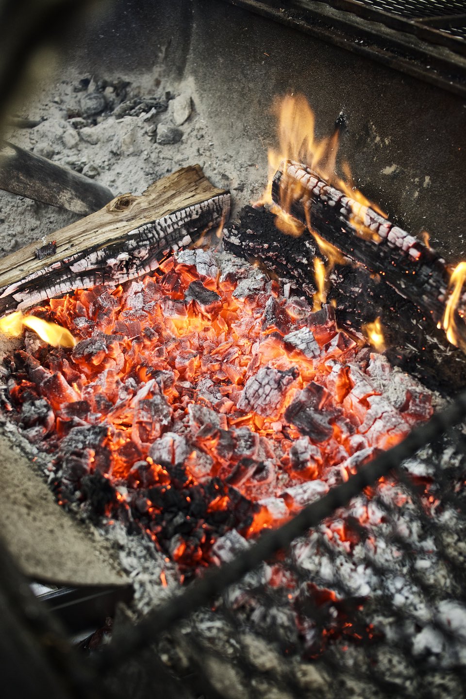 smoke_cookbook_woodfired027