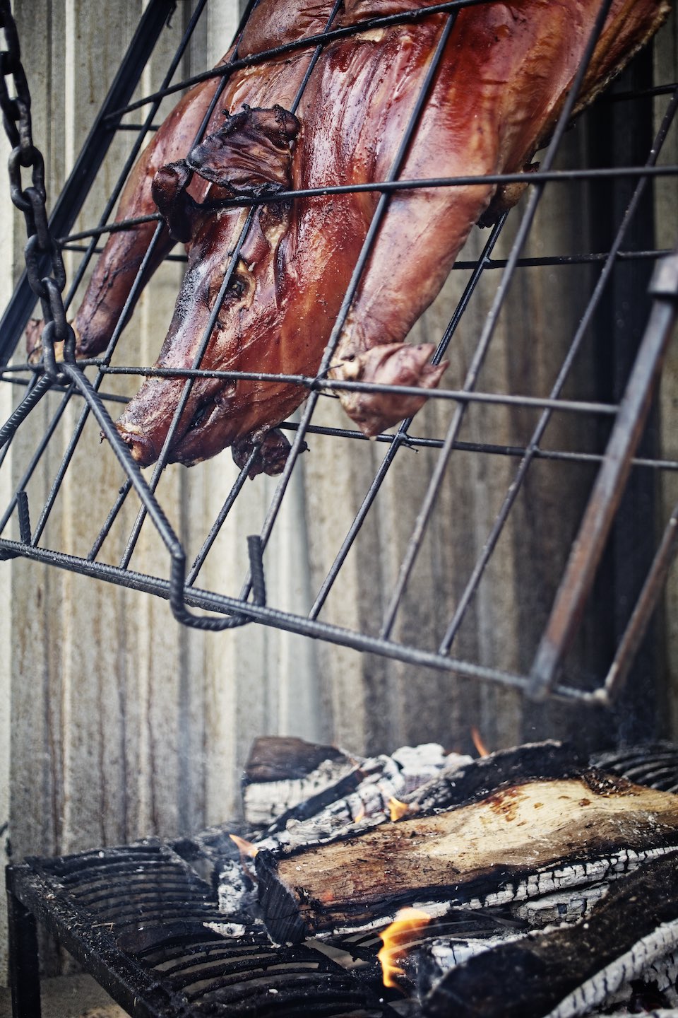 Jody Horton Photography - Roasted pig over dying embers.