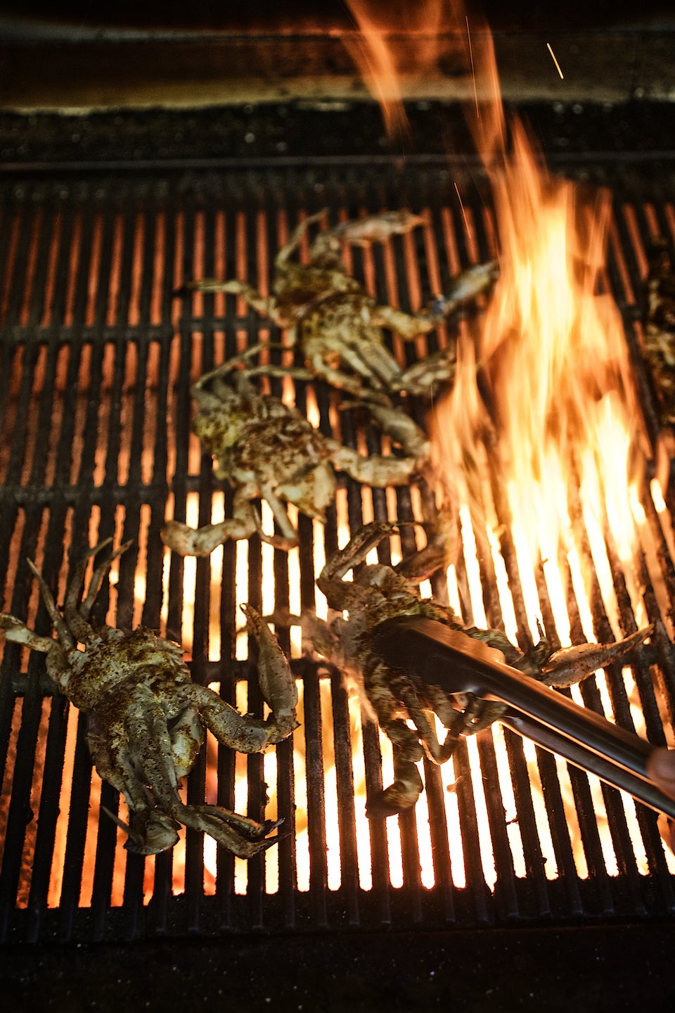 smoke_cookbook_woodfired084