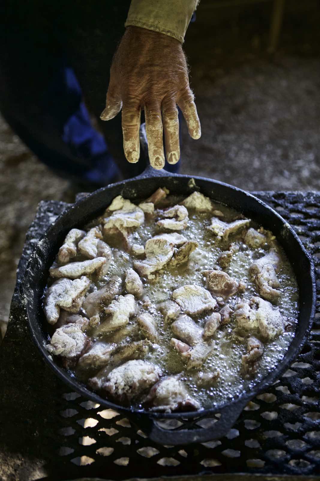 Jody Horton Photography - Squirrel meat frying in a cast iron skillet on a grill. 