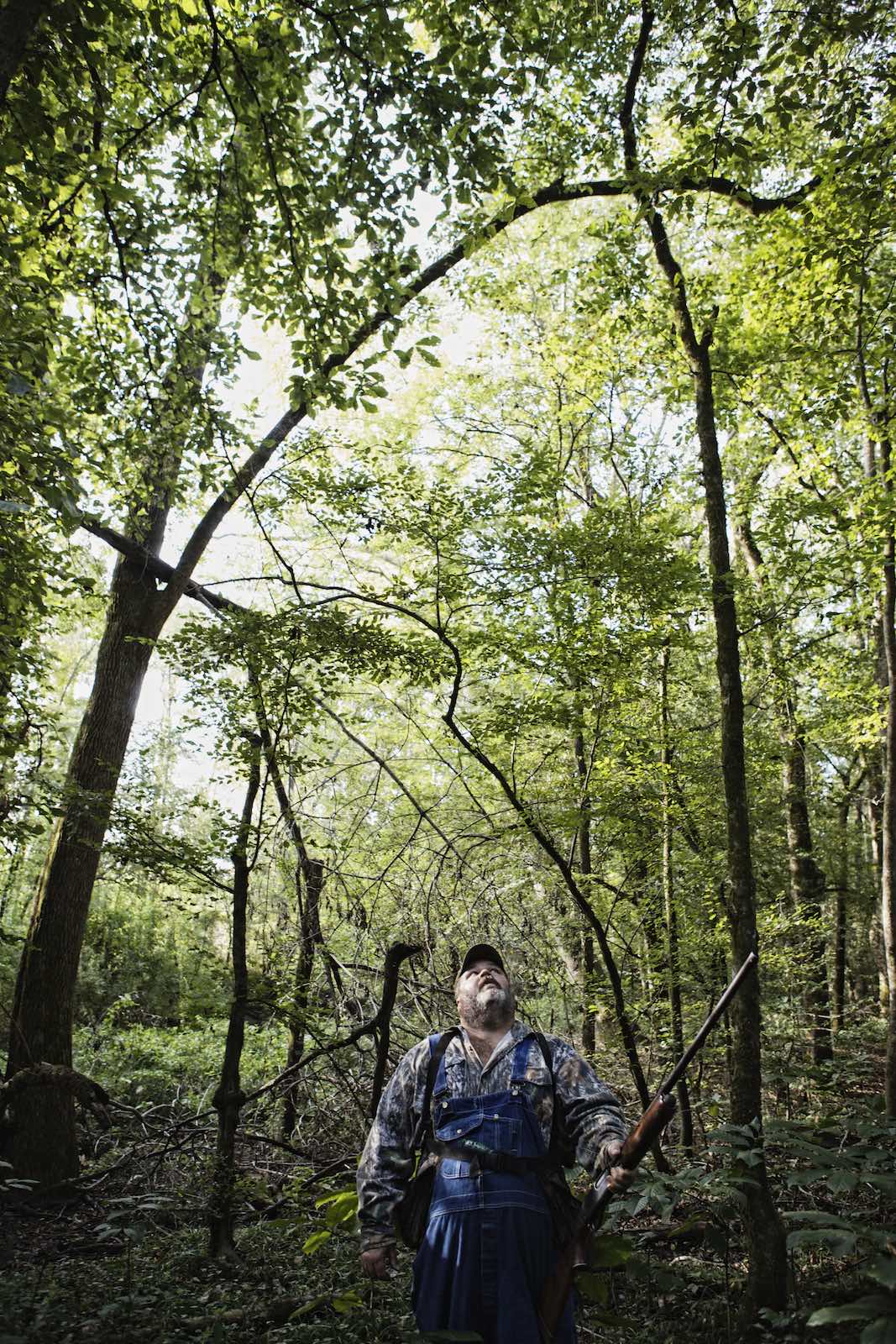 Jody Horton Photography - Hunter carrying a shot gun and looking up in the canopy of trees. 