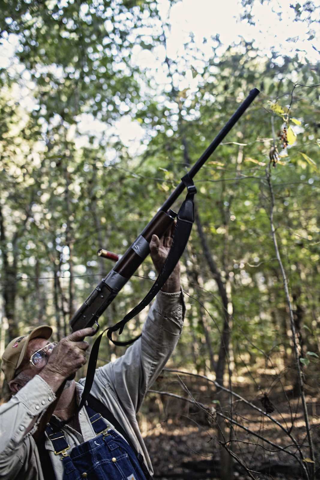 Hunter firing shot gun into the tops of trees. 