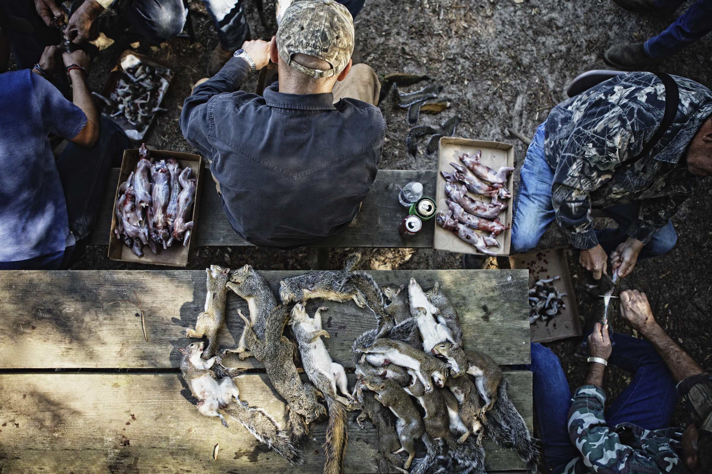 Jody Horton Photography - Dead squirrels being skinned by hunters. 