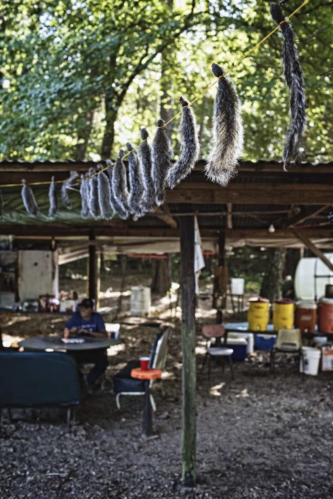 Jody Horton Photography - Squirrel tails hanging in front of the camp. 